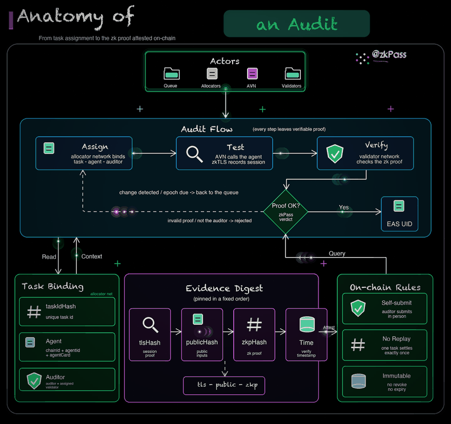 Anatomy of an audit, animated: the allocator node network binds the task, an AVN tests the agent producing zkTLS evidence, the validator node network verifies the zk proof, the auditor attests the proof on-chain, and the resolver re-checks the zkPass verdict before the EAS record settles